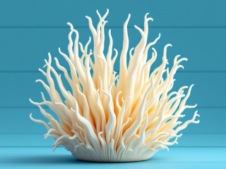 Cordyceps militaris Albíno